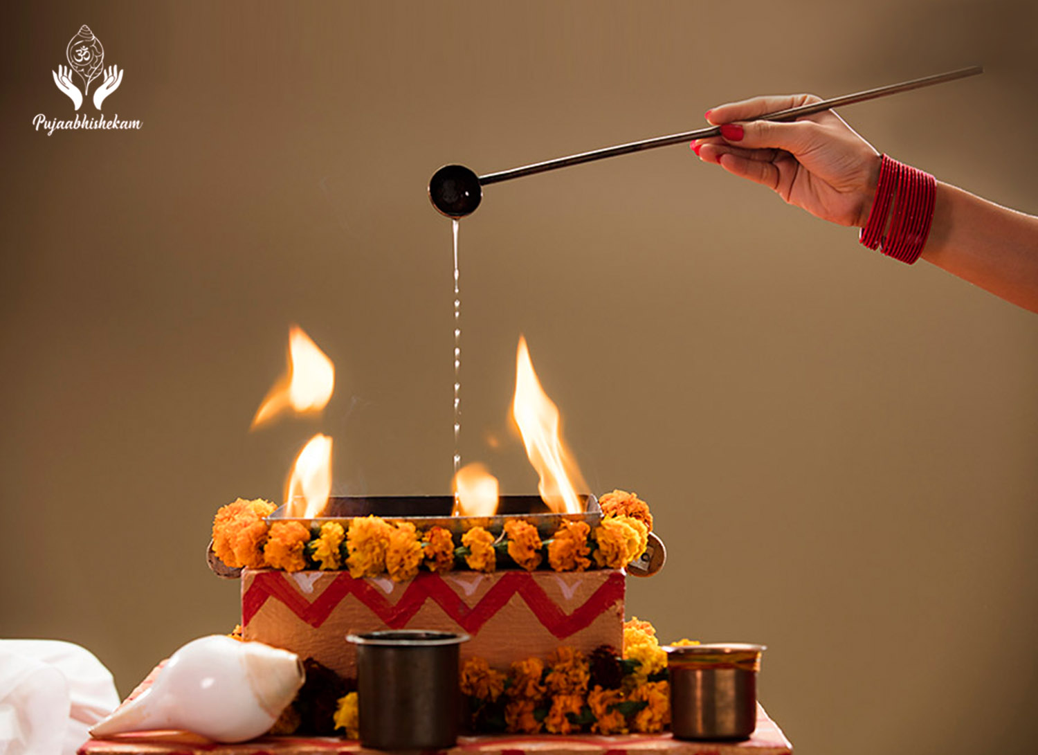 नवग्रह शांति हवन